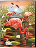 Framed Flamingoes - Vertical