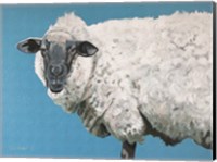 Framed Wooly Sheep