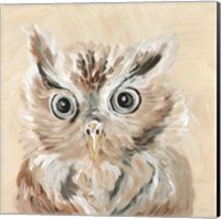 Framed Willow the Owl