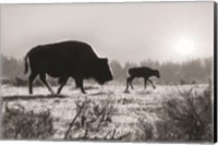 Framed Lamar Valley Migration