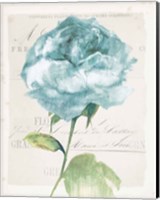 Framed Antique Floral II Blue Vintage