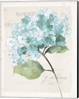 Framed Antique Floral I Blue Vintage