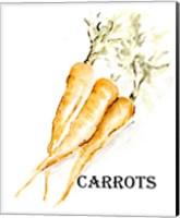 Framed Veggie Sketch V-Carrots