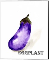 Framed 'Veggie Sketch VII-Eggplant' border=