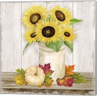 Framed 'Fall Sunflowers III' border=