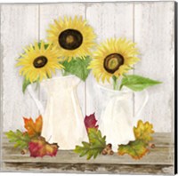 Framed 'Fall Sunflowers IV' border=