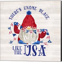 Framed Patriotic Gnomes III-USA