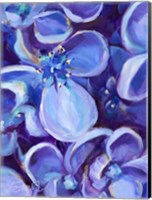 Framed Lavender Floral Close Up