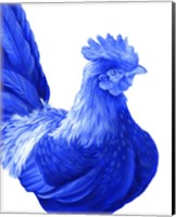 Framed Blue Rooster I