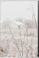 Framed Early Snow