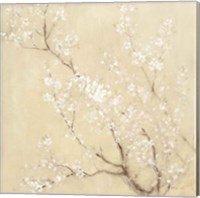 Framed 'White Cherry Blossoms I Linen Crop' border=