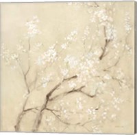 Framed 'White Cherry Blossoms II Linen Crop' border=