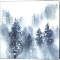 Framed 'Misty Forest II' border=