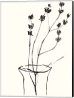 Framed Naive Flower Sketch III
