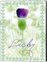 Framed Lucky Shamrock I