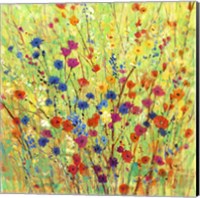 Framed 'Wildflower Patch I' border=