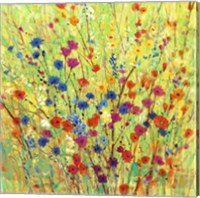 Framed 'Wildflower Patch I' border=