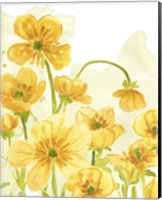 Framed 'Sunshine Meadow III' border=