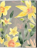 Framed Narcissus Fresco II