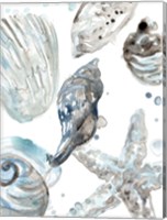 Framed Cerulean Seashells III