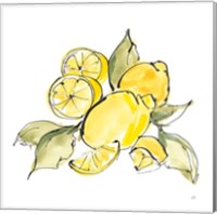 Framed 'Lemon Still Life III' border=