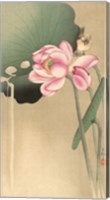 Framed Songbird and Lotus, 1900-1936