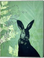 Framed Cheeky Rabbit