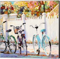 Framed Bikes I