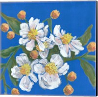 Framed Blue White Flowers