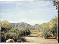 Framed Desert Path