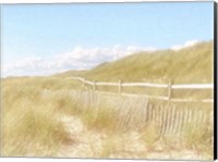 Framed Seagrass Dunes