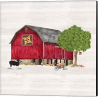 Framed 'Spring & Summer Barn Quilt III' border=