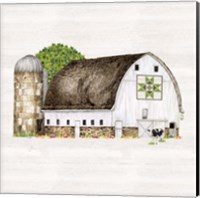 Framed Spring & Summer Barn Quilt IV