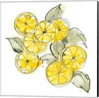 Framed Cut Lemons I