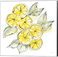 Framed Cut Lemons II