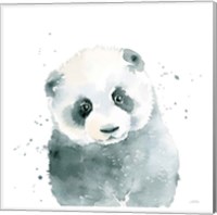 Framed 'Panda Cub' border=