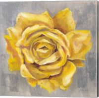 Framed Yellow Roses II