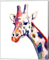 Framed 'Colorful Giraffe on White' border=
