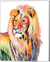 Framed Colorful Lion on White
