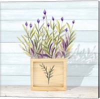 Framed Lavender and Wood Square II