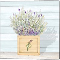 Framed 'Lavender and Wood Square III' border=