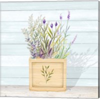 Framed Lavender and Wood Square IV