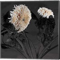 Framed 'Sunflowers I' border=