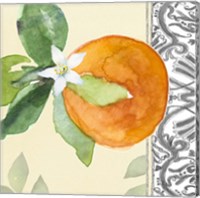 Framed 'Orange Blossoms I' border=