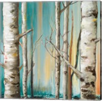 Framed Birch Forest II