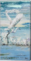 Framed Great Blue Egret I