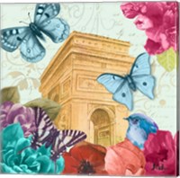Framed 'Belles Fleurs a Paris II' border=