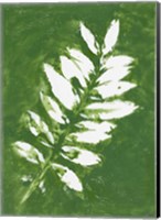 Framed Tropical Leaf Branch Stamp White