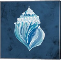 Framed Azul Dotted Seashell on Navy II