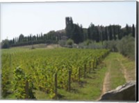 Framed Tuscany 1